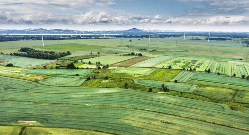 field 839797 1920 1 1400x760
