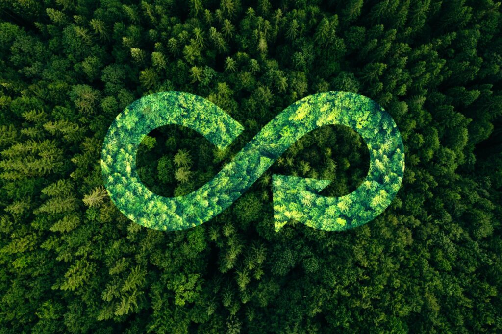 circular economy, galeanu mihai, getty images