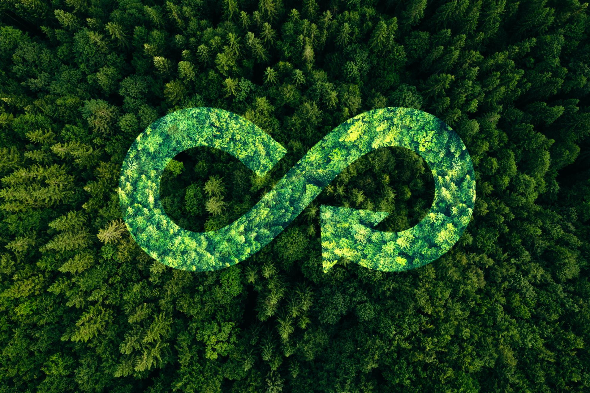 Home circular economy, galeanu mihai, getty images